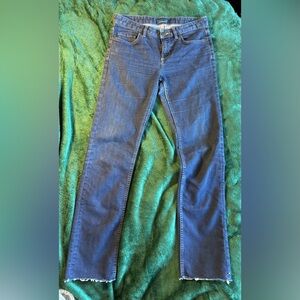 Patagonia Dark Wash Straight Leg Jeans, Size 27